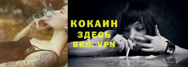 амф Касимов