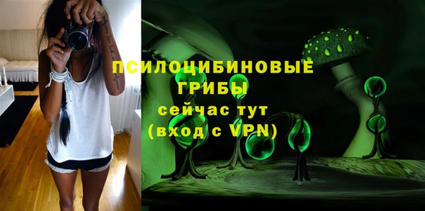 хмурый Карталы