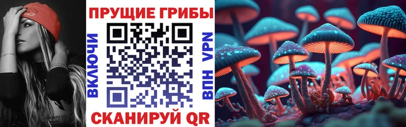Купить где  Мураши  Галлюциногенные грибы мухоморы 