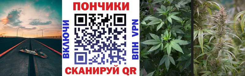 Бошки марихуана OG Kush  Купить  Мураши 